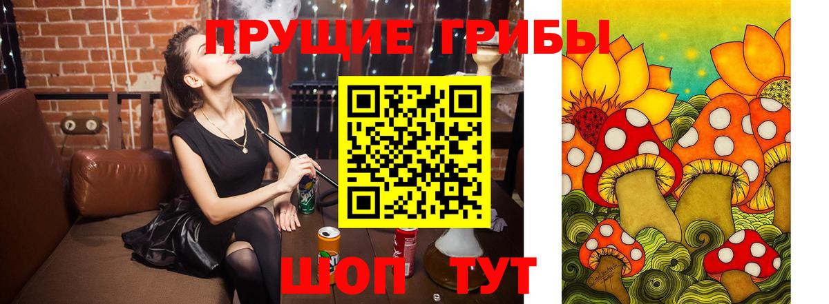 Псилоцибиновые грибы GOLDEN TEACHER Нарьян-Мар